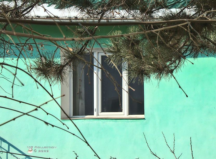 W-23-House - DIVERSE - MISC