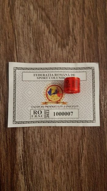 frc22derby - Romania