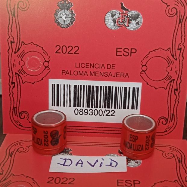 2022- ESP+talon....-5 lei - Inele porumbei 2022 de vanzare