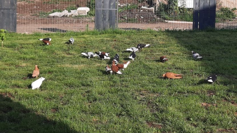  - 00000001 pe afară