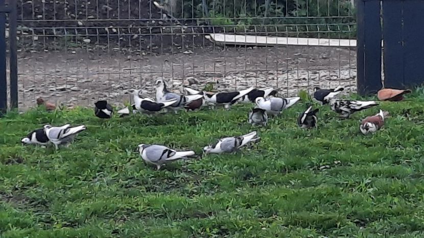  - 00000001 pe afară