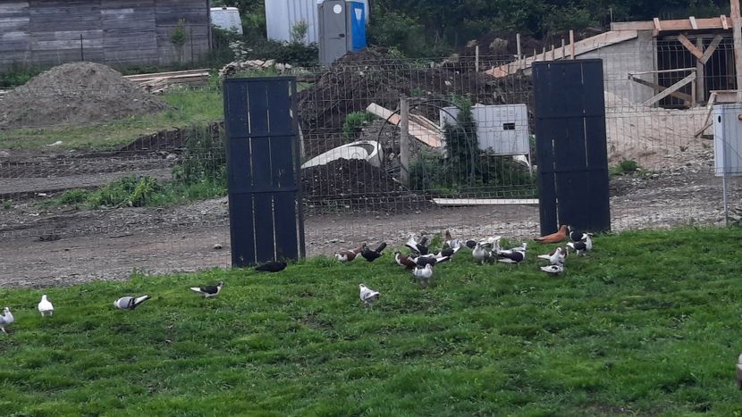  - 00000001 pe afară