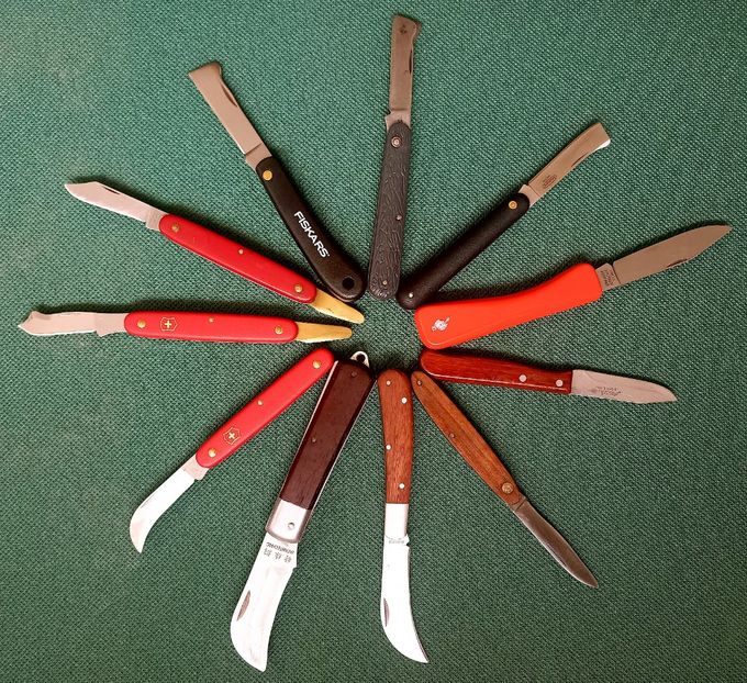 cutite de altoit - Cuțite de altoit