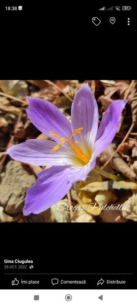 Screenshot_2023-02-18-18-38-21-488_com.facebook.katana - Gradina 2023