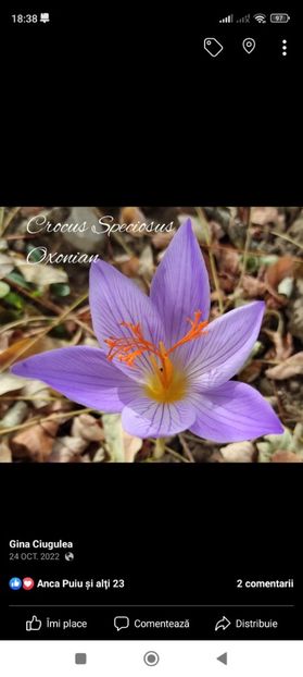 Screenshot_2023-02-18-18-38-04-801_com.facebook.katana - Gradina 2023