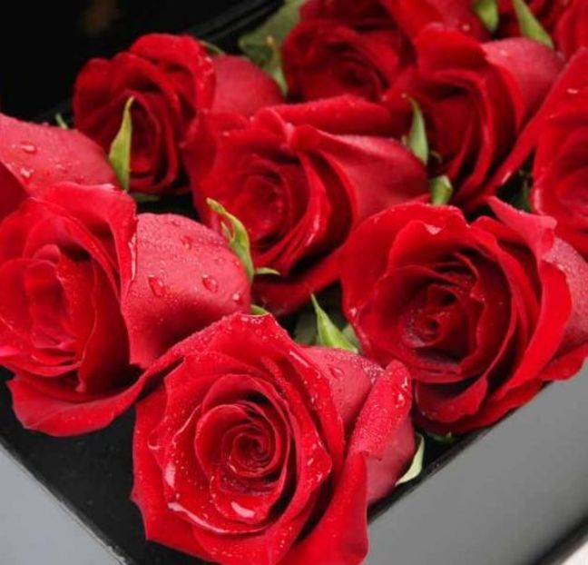 Trandafiri rosii inima +cadou un Colier Argint - Trandafiri rosii inima cadou un Colier Argint martisor