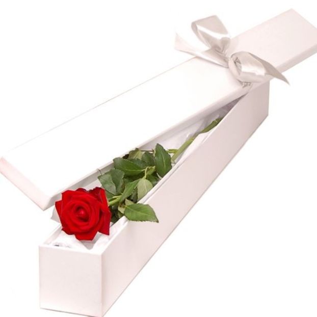 Trandafiri rosii inima +cadou un Colier Argint - Trandafiri rosii inima cadou un Colier Argint martisor