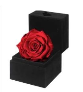 Trandafiri rosii inima +cadou un Colier Argint - Trandafiri rosii inima cadou un Colier Argint martisor