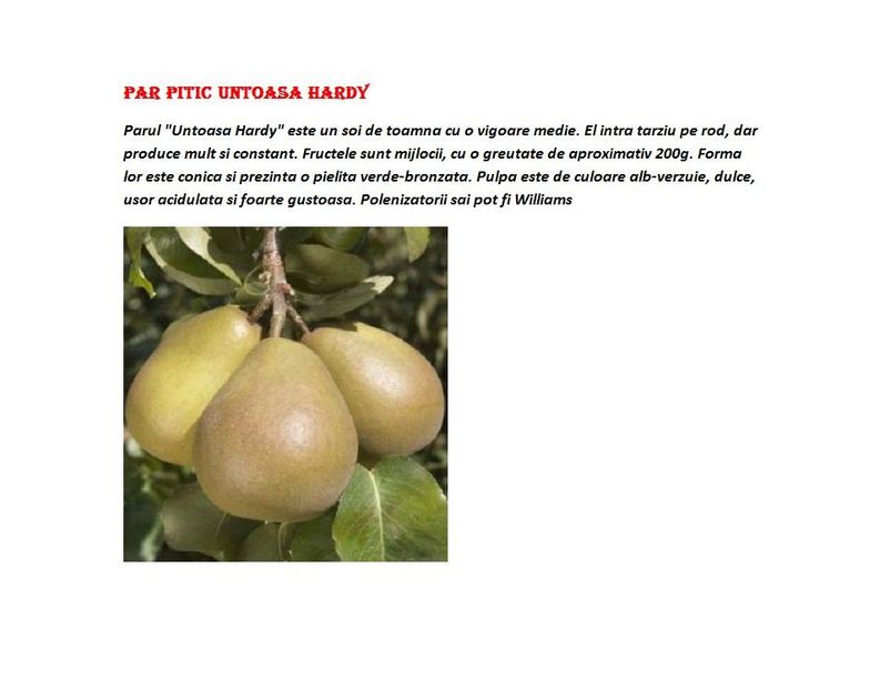 POMI COLUMNARI PITICI,MERI.CIRESI,CAISI,NECTARIN-10+5 GRATIS - POMI COLUMNARI PITICI MERI CIRESI CAISI NECTARIN 10 5 GRATIS