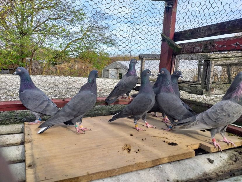 20191109_122751~2 - 21-06-2015   Long-Day--17h 16 min