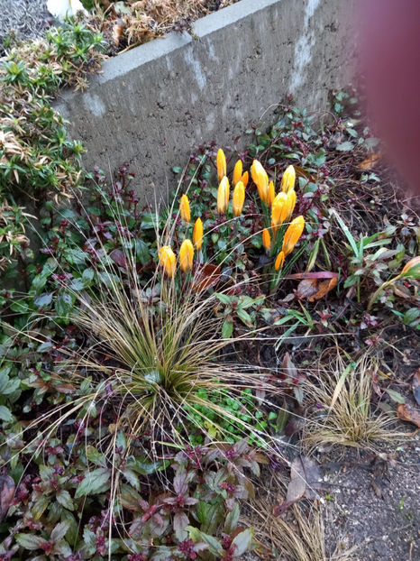 © - 2022 - 04 - 2023 - 00 - Iarna