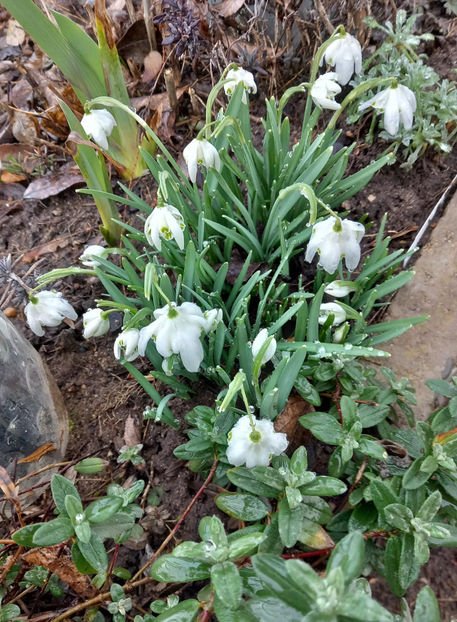 © - 2022 - 04 - 2023 - 00 - Iarna