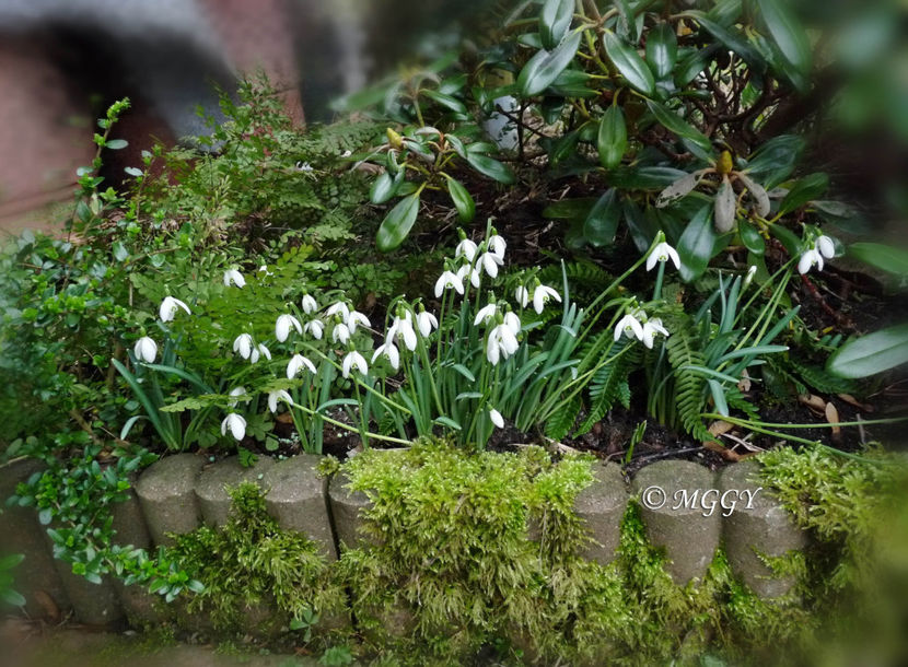 © - 2022 - 04 - 2023 - 00 - Iarna