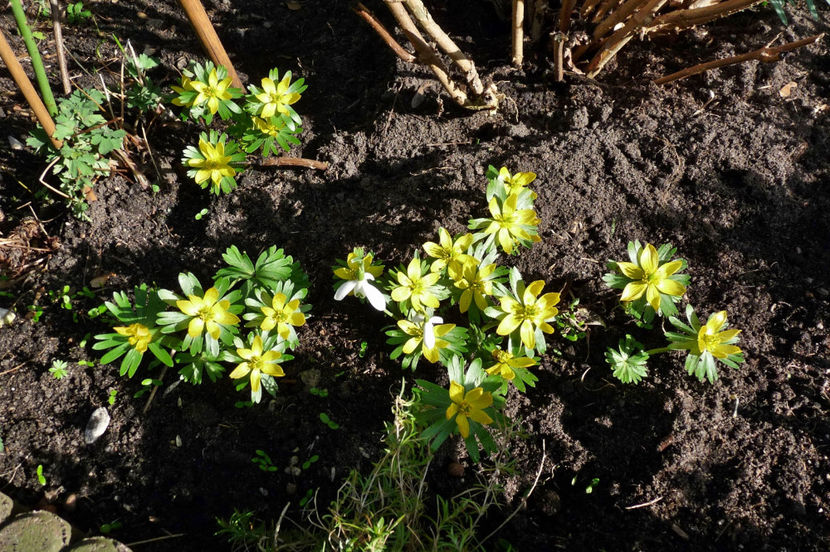 © - 2022 - 04 - 2023 - 00 - Iarna