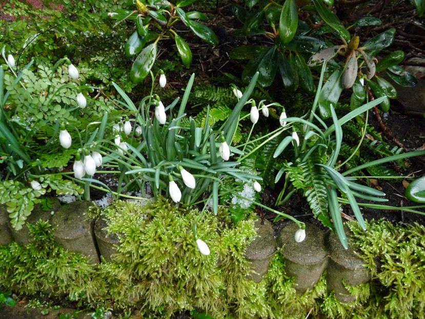 © - 2022 - 04 - 2023 - 00 - Iarna