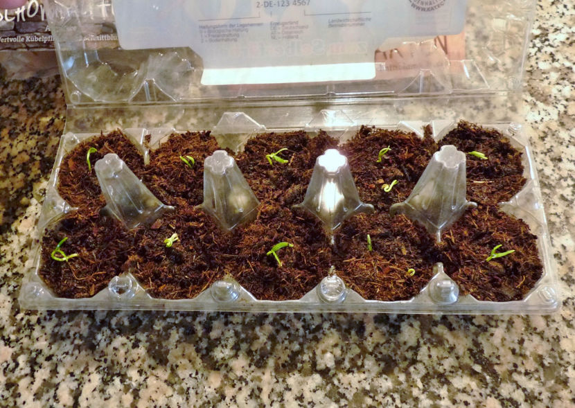 In pregatire! - 2022 - 04 - 2023 - 00 - Iarna