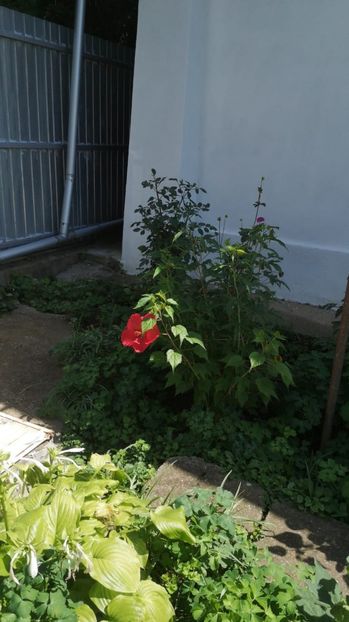 IMG-20220826-WA0004 - AAA poze tel