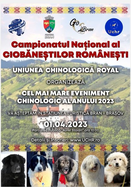 Campionatul național al ciobanestilor romanesti - Bran 2023 - 6 - Diverse