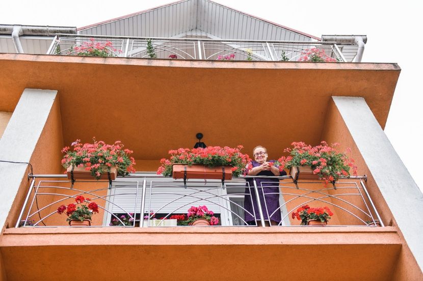 V & S 0384 - 2022 - Stefi - nunta I