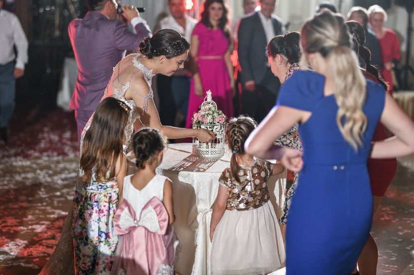 V & S 1412 - 2022 - Stefi - nunta IV