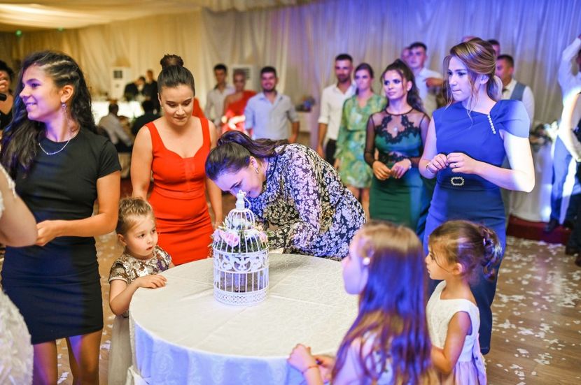 V & S 1414 - 2022 - Stefi - nunta IV