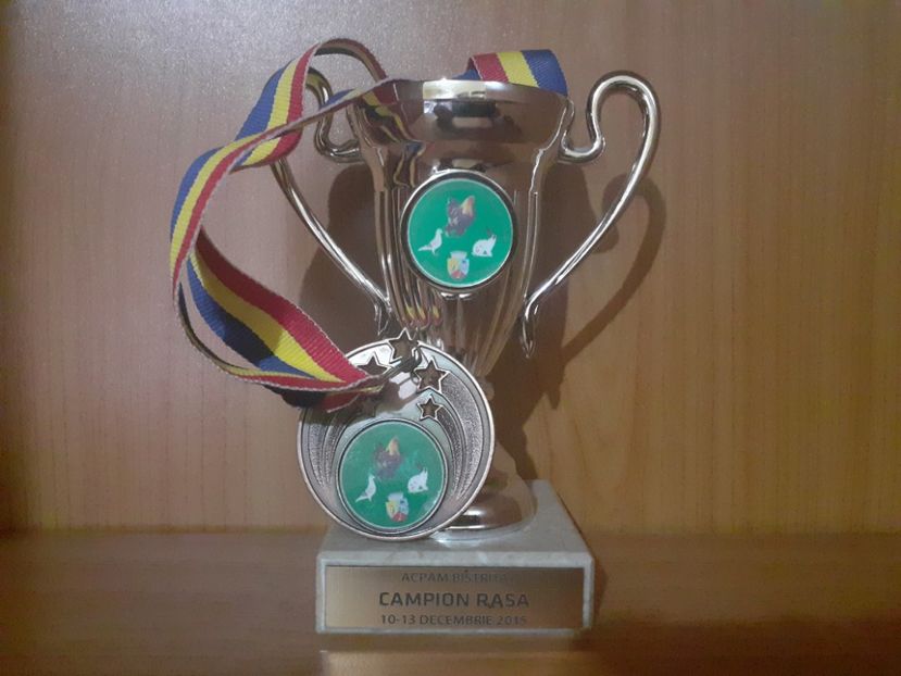  - Vienezi albastrii 2015