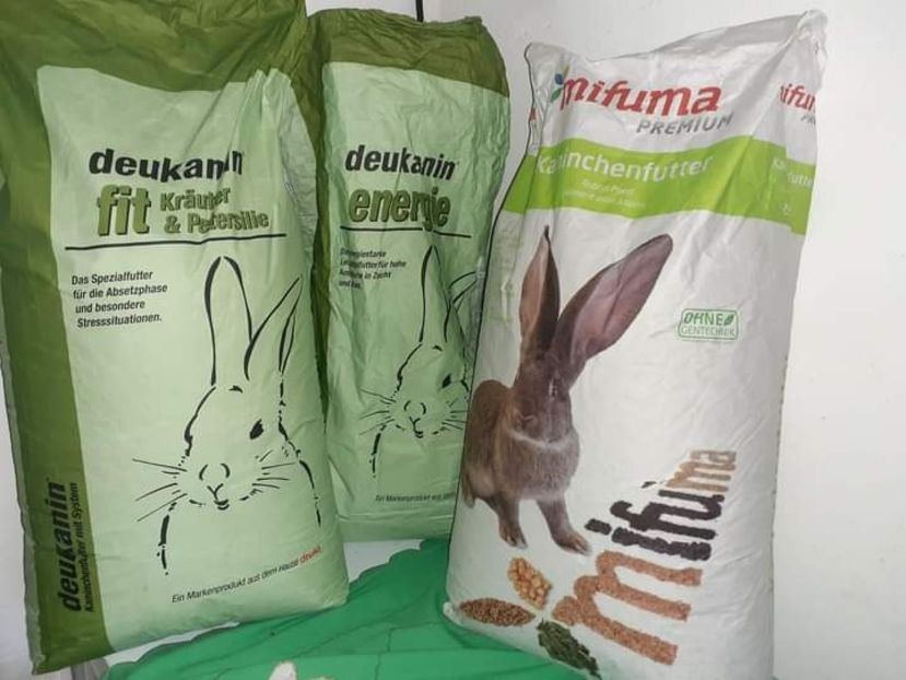  - Vienezi albastrii 2021