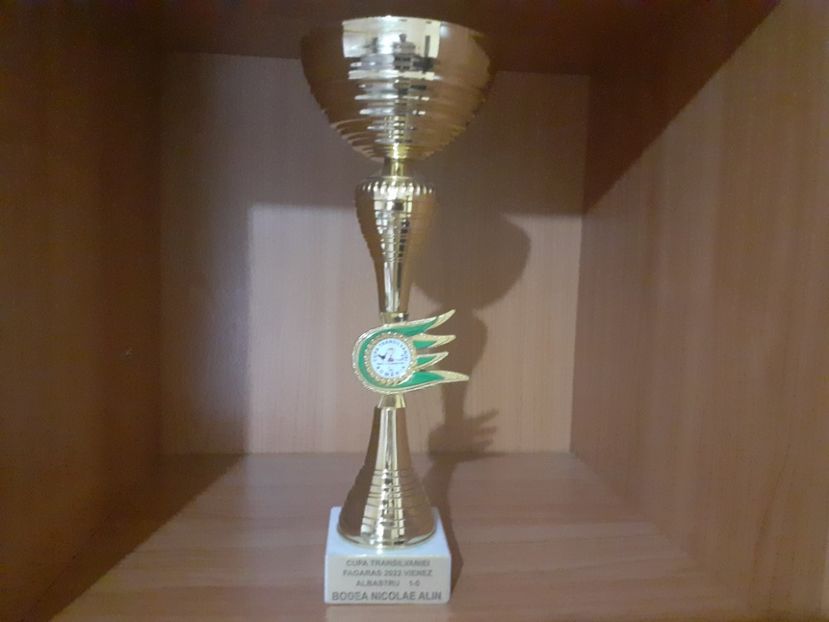  - Vienezi albastrii 2022