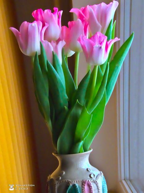 w-Tulip 23 - FLORI - FLOWERS