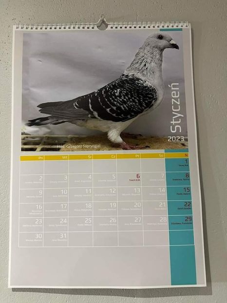 - Nu îmi aparțin 6