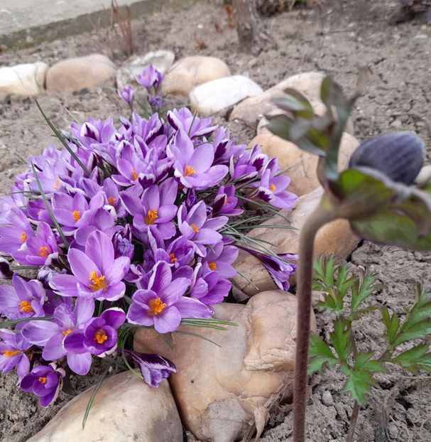  - 1 Bucurii nemuritoare 2023