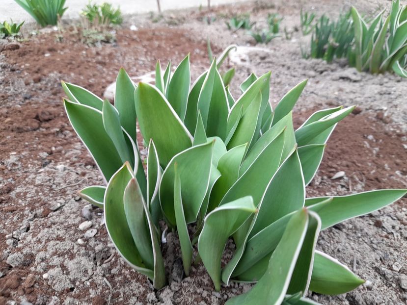  - 1 Bucurii nemuritoare 2023