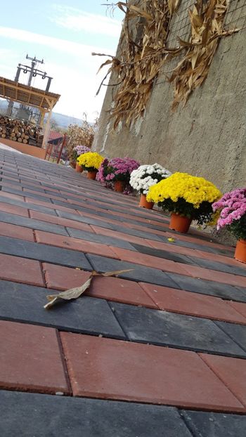  (17) - 2022-23 Rupea vulcani alte scoli camin Ungra