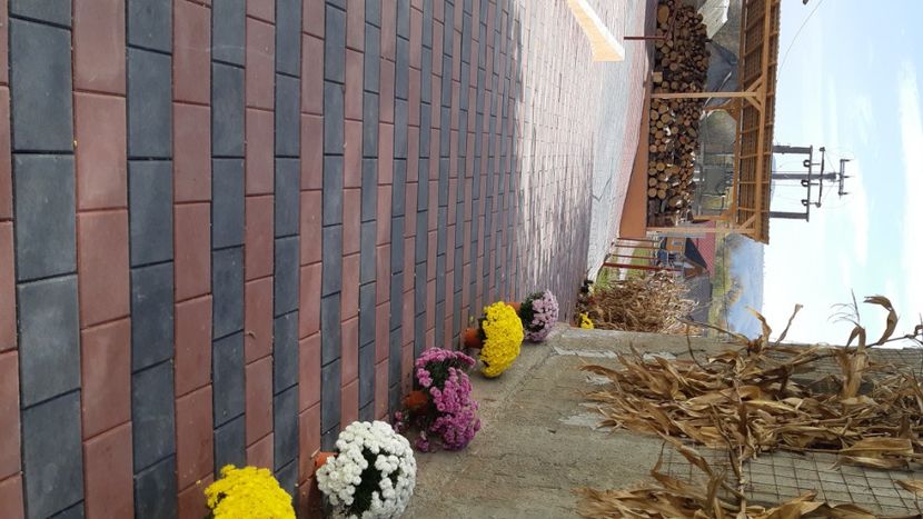  - 2022-23 Rupea vulcani alte scoli camin Ungra