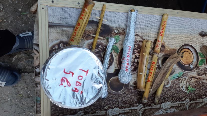 festiv toamnei  - 2022-23 Rupea vulcani alte scoli camin Ungra