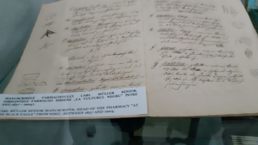  - 2023 excursie Sibiu