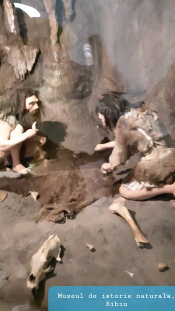  - 2023 excursie Sibiu