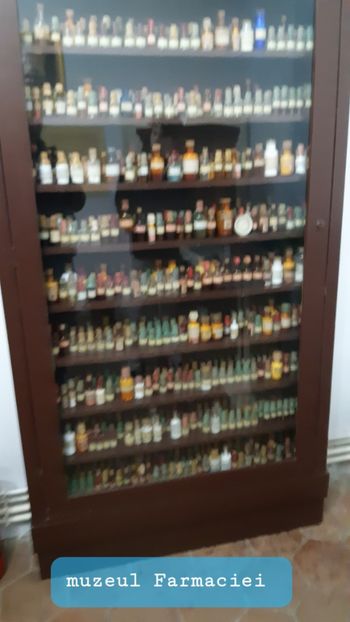  - 2023 excursie Sibiu