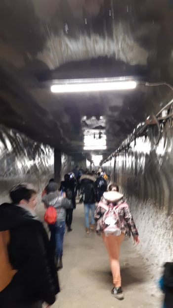  - 2023 excursie salina Turda proiect sc Ungra