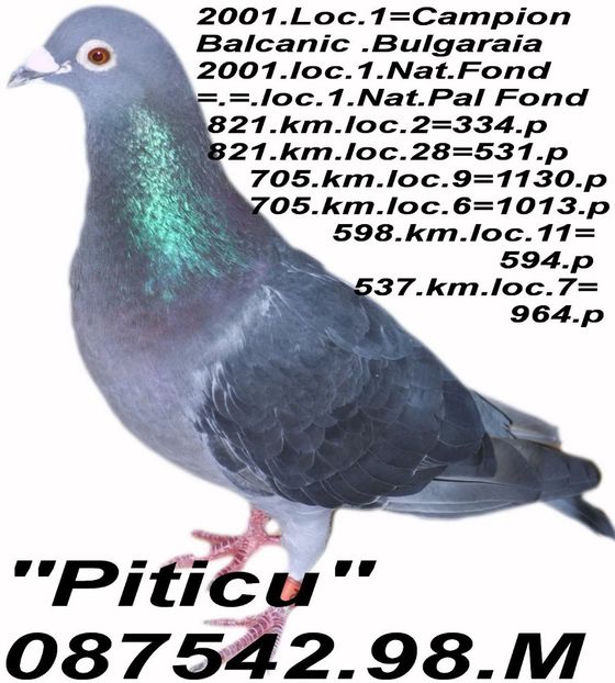 1998.087542- M PITICU.1 - 2 MATCA 2023
