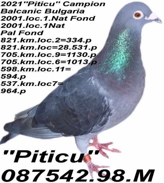 1998.087542- M PITICU.2 - 2 MATCA 2023