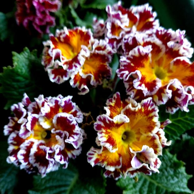  - februarie-martie 2023