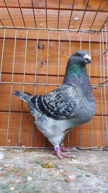 M 2022 - Perechi 2023