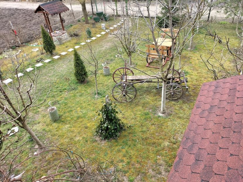 IMG20230315110639 - Primăvara 2023