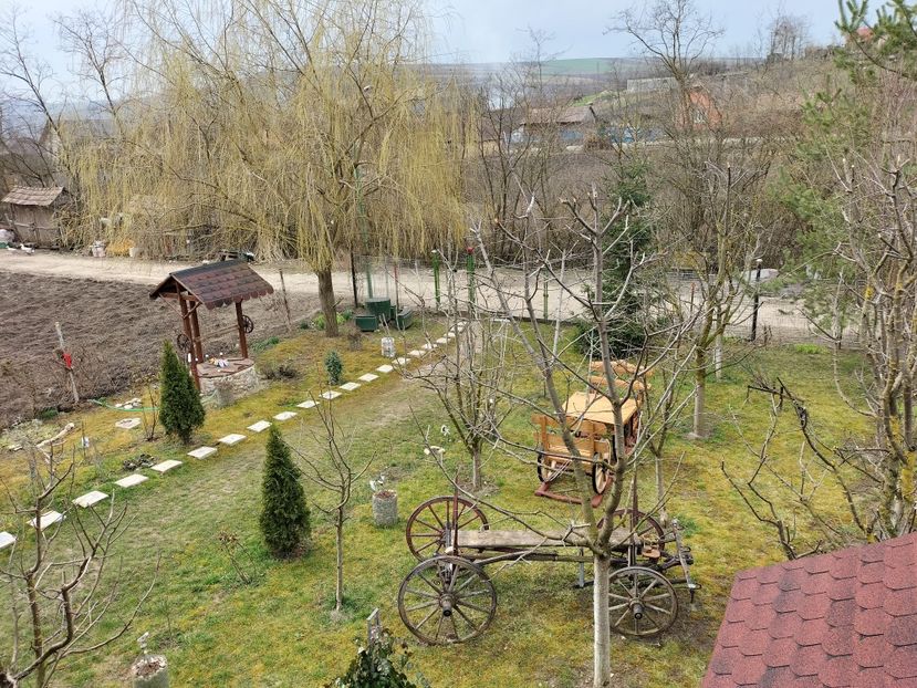 IMG20230315110631 - Primăvara 2023