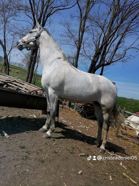 f30b1902ec6b85437292a94adc6a85e7_9 - un alt inceput