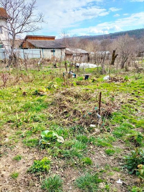 IMG20230308131641 - Gradina 2023