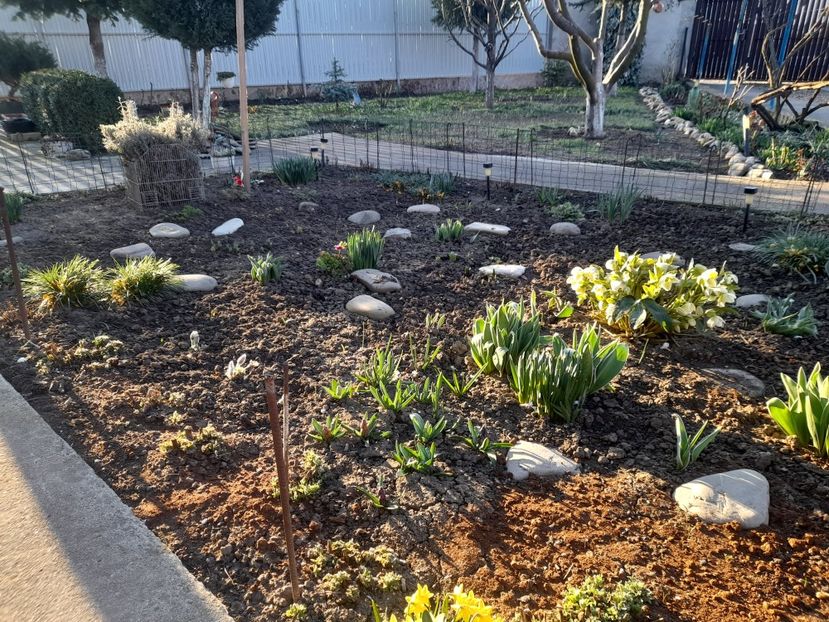  - 1 Bucurii nemuritoare 2023