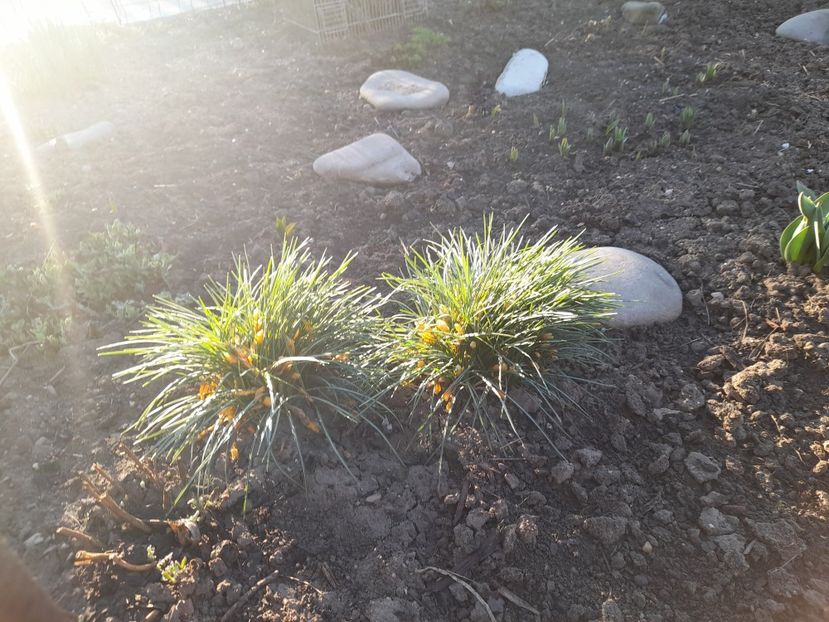  - 1 Bucurii nemuritoare 2023