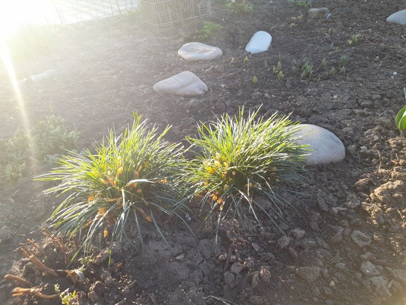  - 1 Bucurii nemuritoare 2023